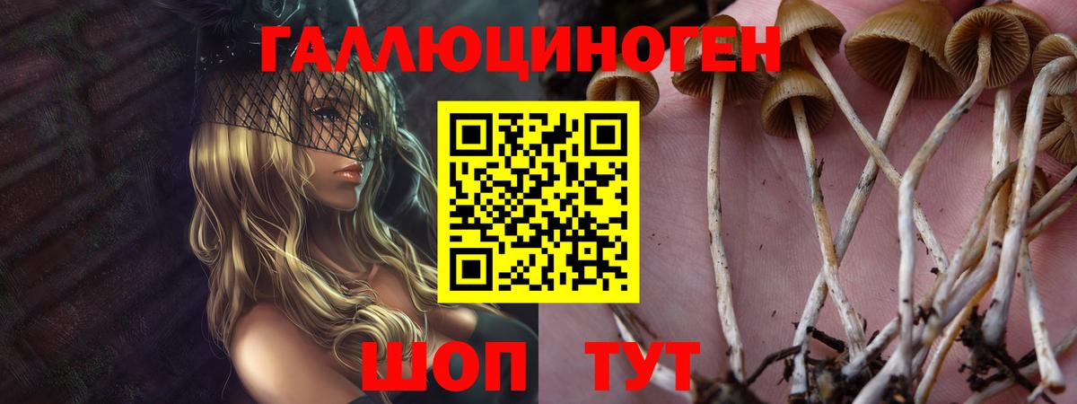 Псилоцибиновые грибы Magic Shrooms  Вход с VPN  Сургут 
