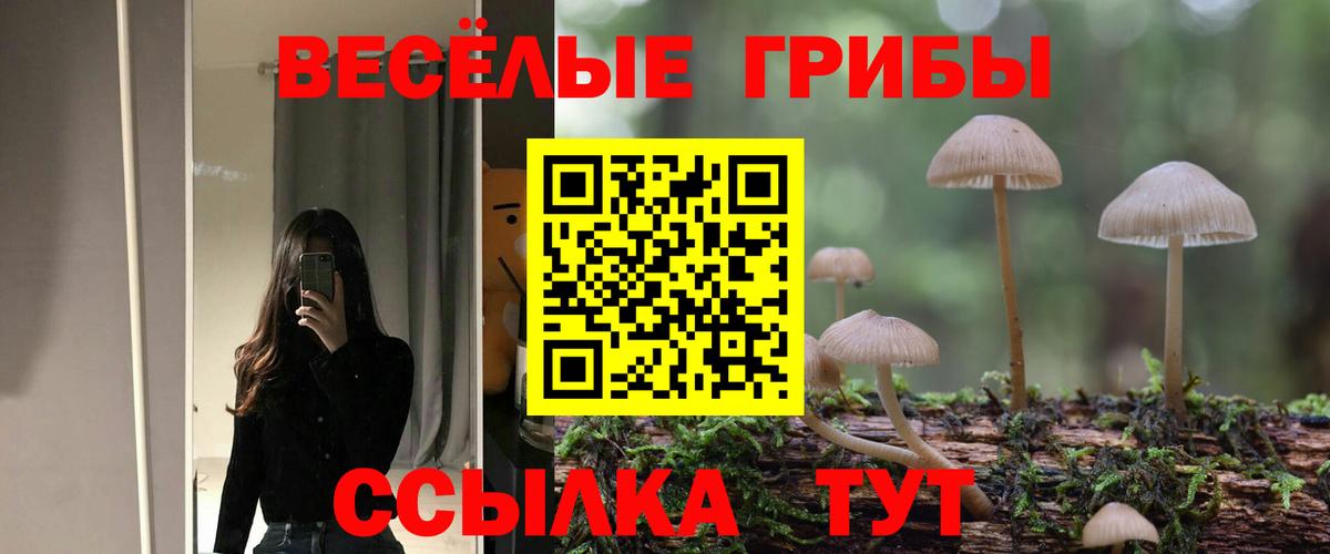 Галлюциногенные грибы мухоморы Сургут